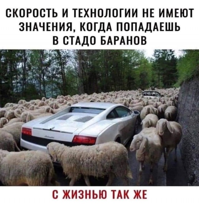 Картинки для деградации 164 (разной степени свежести)