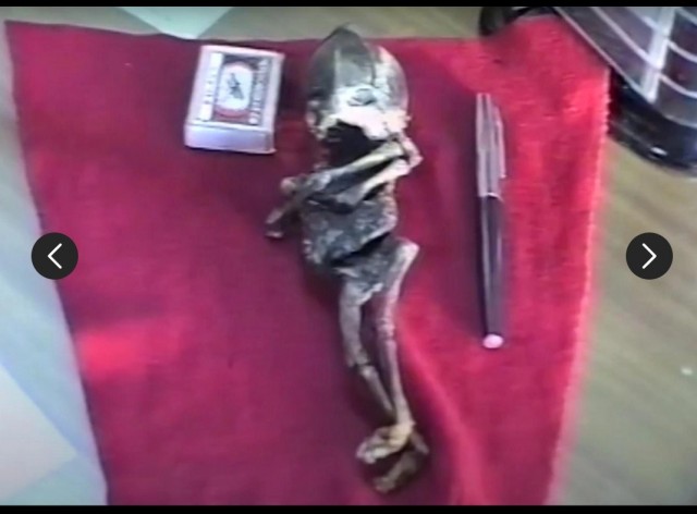 «Мумию забрали». Уральский милиционер, державший в руках гуманоида Алешеньку, раскрыл главную ошибку в расследовании