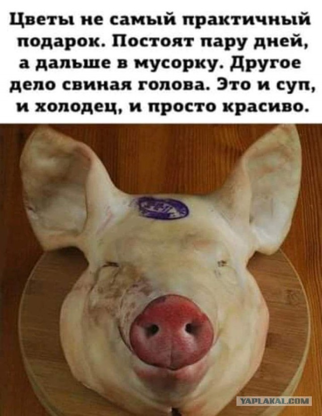 10 тысяч красных роз за 2,5 млн рублей обнаружили в холле ЖК на Винницкой улице