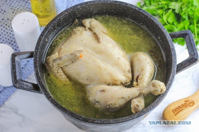 А где наш Кочет?