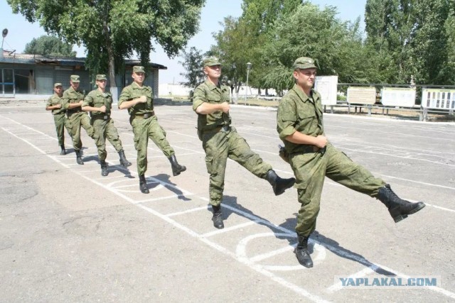 Хобби хорсинг, Квадробинг, Ятулюсинг.