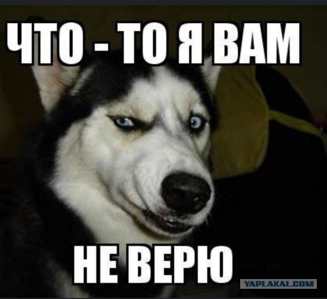 Женщина после развода решила отправиться на свидание