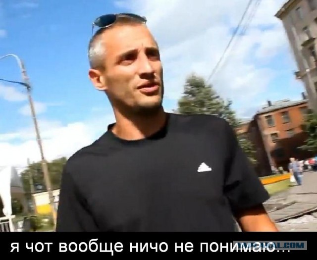 СтопХам СПб - Зебра