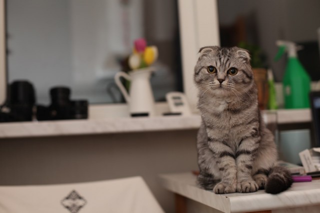 Резать или не резать