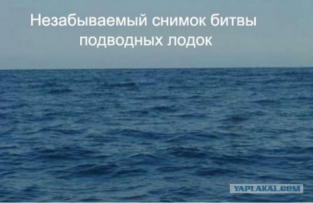 Какая она высокая!