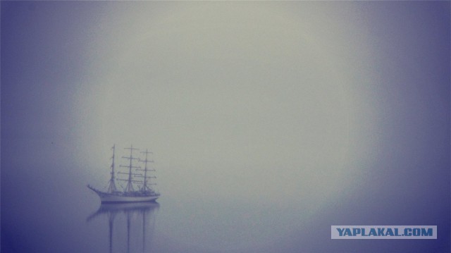 Владивосток и Русский остров с высоты...