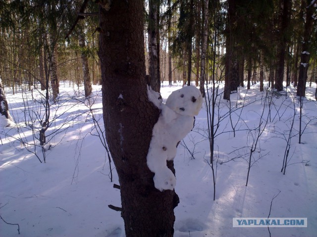 Фотографии с мобильного телефона