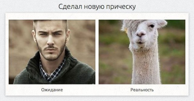 Ожидания VS Реальность