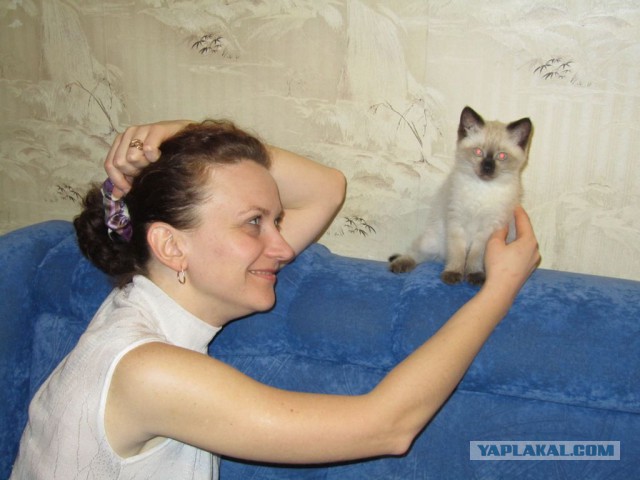 Эй, хозяева! Я проснулась и....