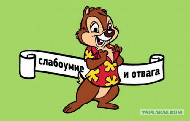 СтопХам Петрозаводск 54 - Ствол