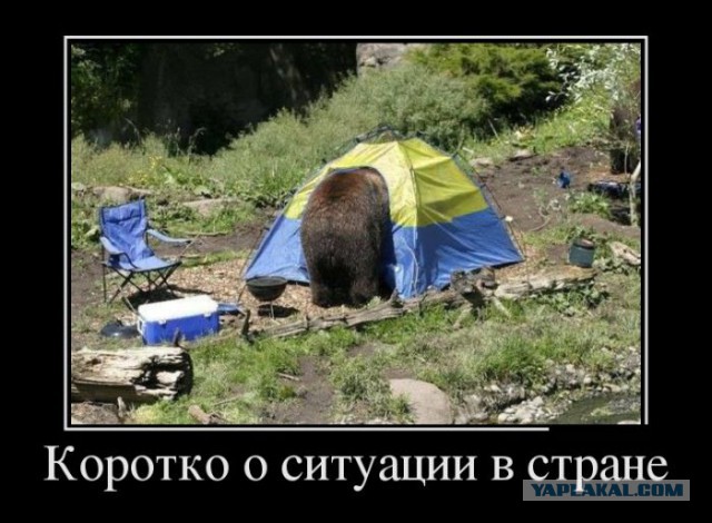 Подборка демотиваторов