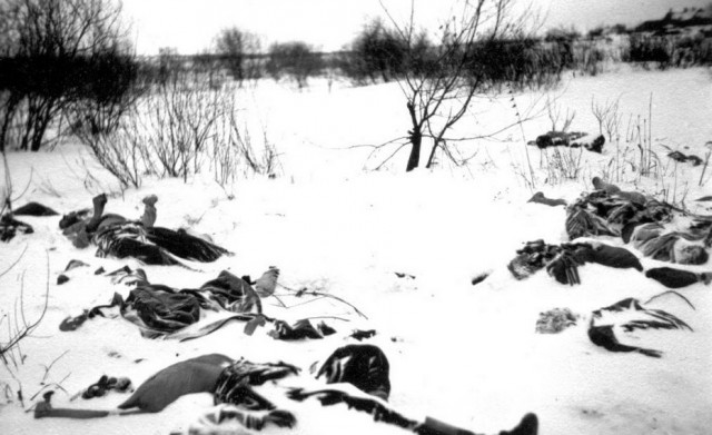 1941 год. Боль и мужество. Фото.