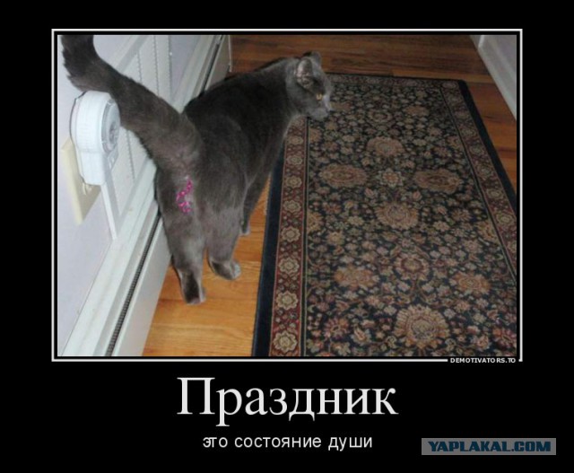 Давно демотиваторов не было