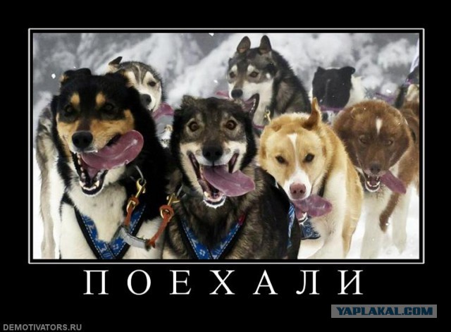 Просто картинки