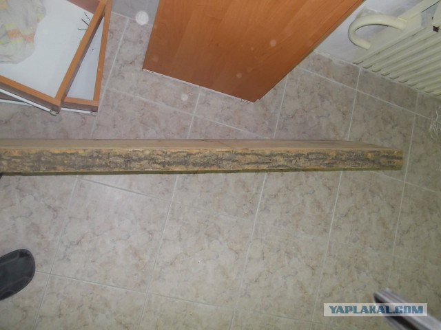 Изготовления ложа для арбалета.