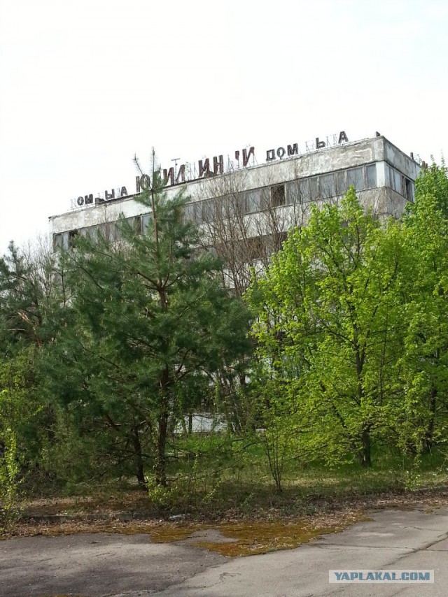 Поездка в Зону Отчуждения