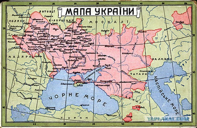 Мы получили номера образца ДНР!