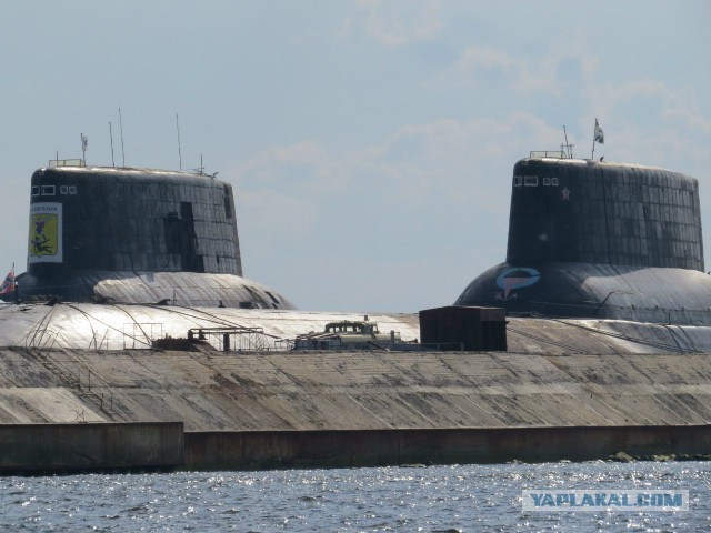 Сюрприз на рыбалке