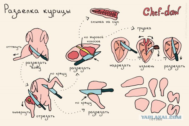 20 шпаргалок, которые пригодятся на кухне