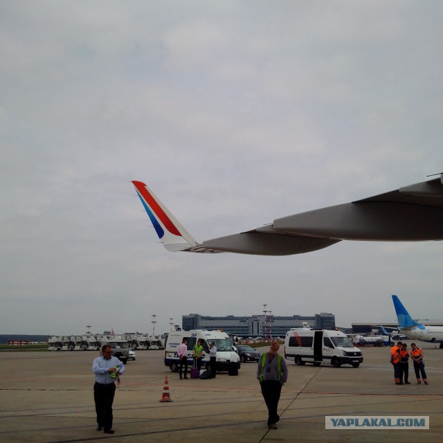 Прилет новенького Airbus 321 во Внуково