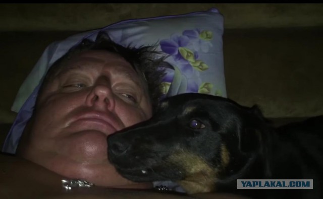 Припозднившийся собакочетверг