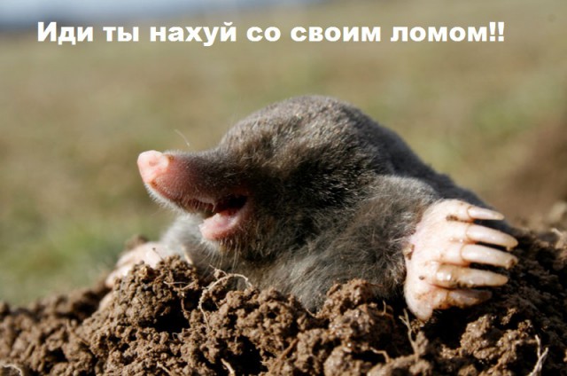 Как выровнять лом