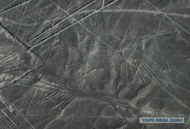 Отчет о путешествии в  Перу