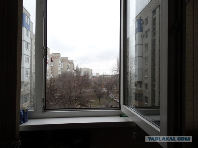 В лунной афере США поставлена жирная точка!