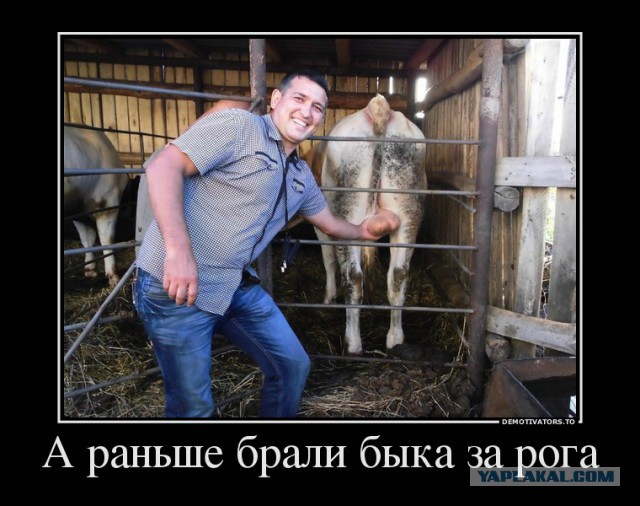 Приготовил жене романтический ужин...