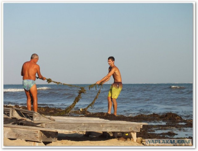 Непутёвые заметки. Поездка на Чёрное море