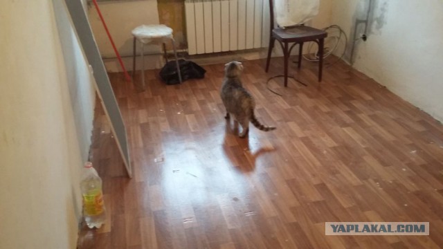 Мой первый недельный ремонт в спальне в хрущевке