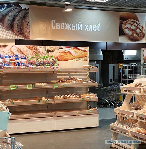 Дизайнер 80 уровня