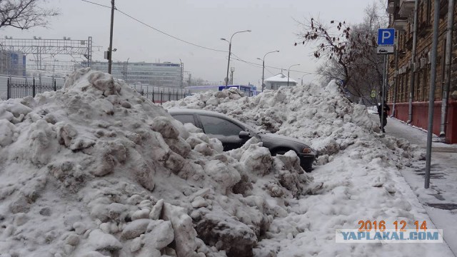 15 декабря - народный протест против политики дептранса Москвы