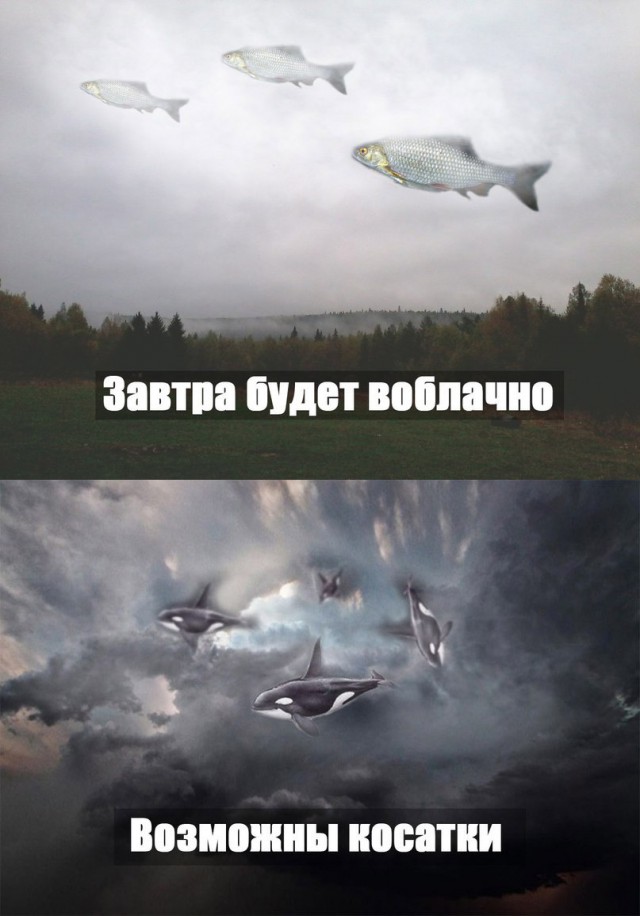 Анекдоты, весёленькие высказывания и фразы