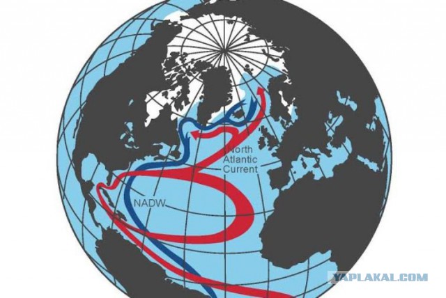 Ученые бьют тревогу: океаническое течение Гольфстрим поменяло направление..