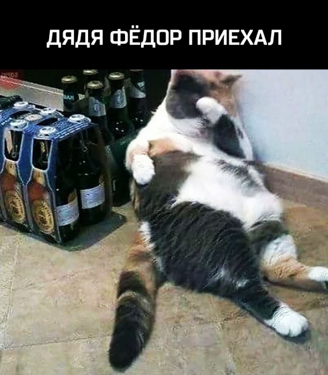 Не очень адекватный юмор