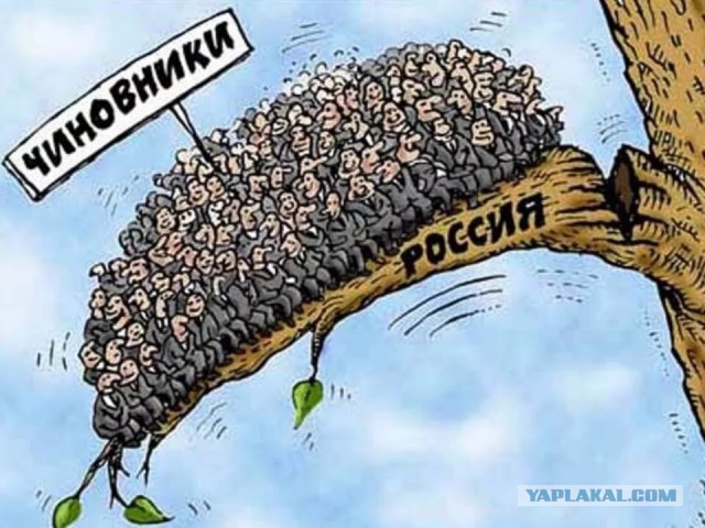 Семеро с ложкой: количество госслужащих бьет рекорды