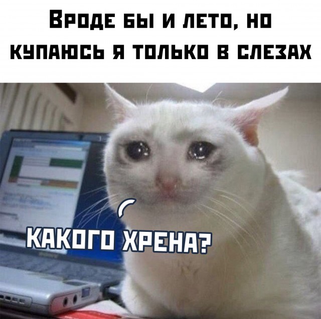 Умные мюсли