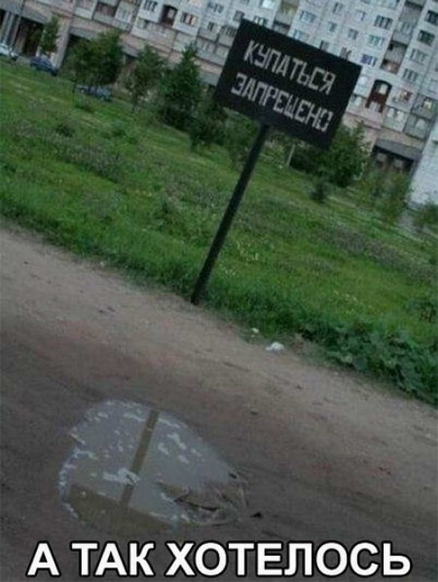 Картинки
