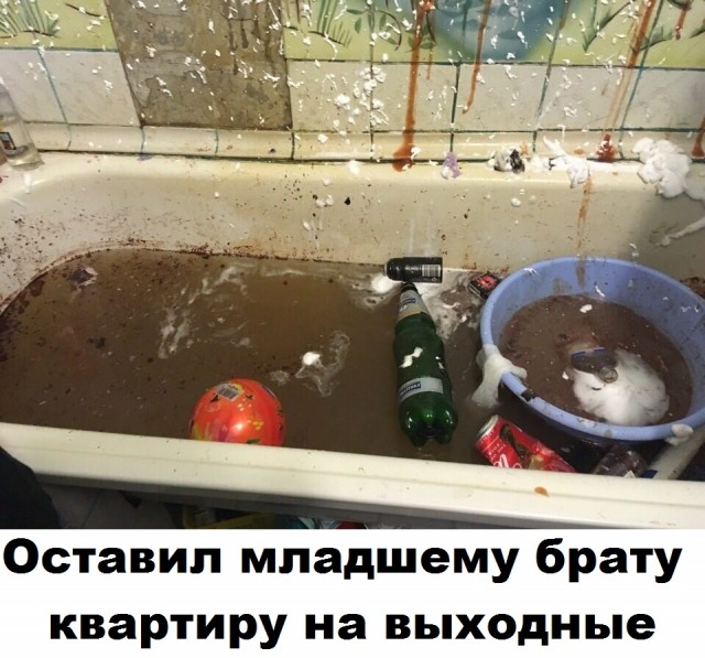 Скотсети и прочие интернеты 06.09.19