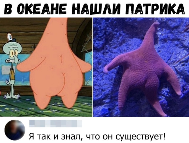 Немного картинок для настроения