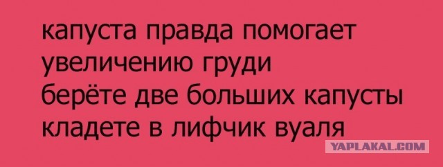 Убедительные доводы на тему "Маленькая грудь - это хорошо"