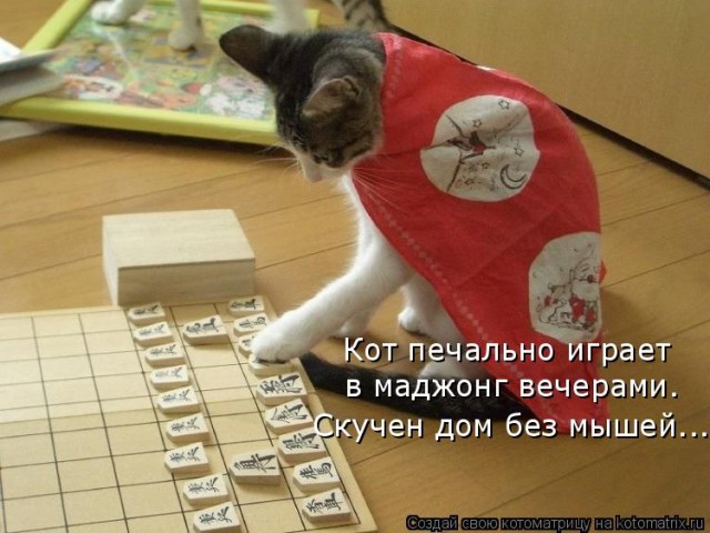 Прикольные и просто красивые картинки 02.09.20