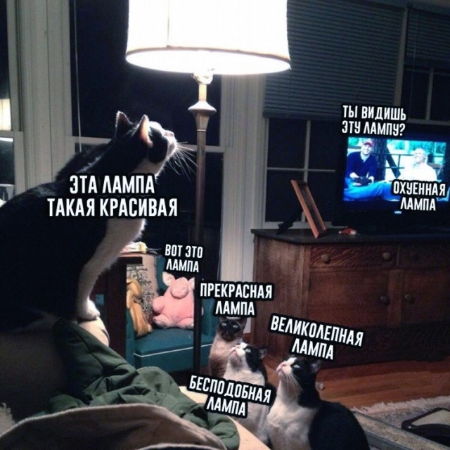 Как правильно сажать картошку.