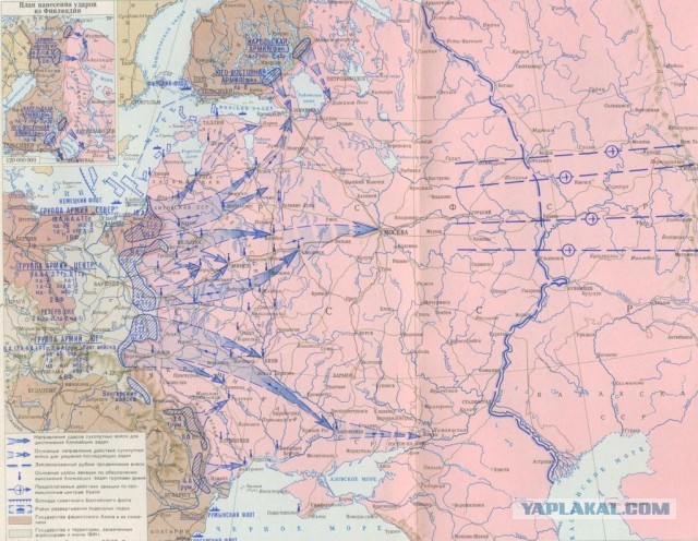 И смех и грех: зимняя экипировка солдат вермахта в 1941-1942 годах