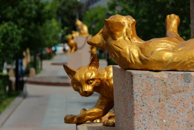 Сквер сибирских кошек