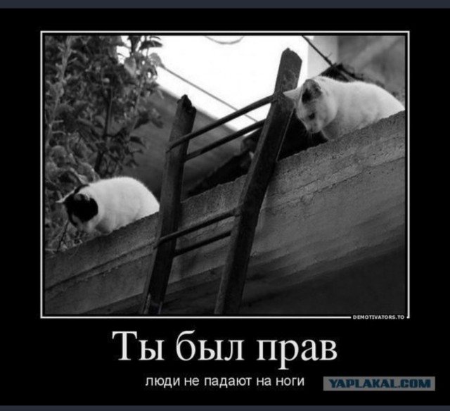 Картинки с надписями и всякие жизненные фразы 12.1.21
