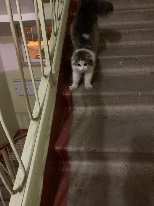 Подборка забавной живности