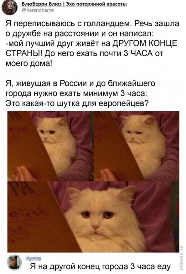 Картинки и мемы для настроения 15.03.2021