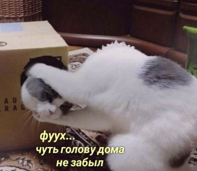Картинки и мемы для настроения 016